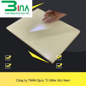 Tem trong suốt