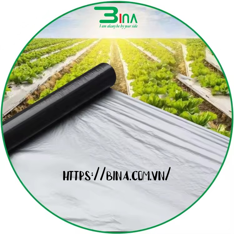 Màng phủ nông nghiệp Màng phủ nông nghiệp